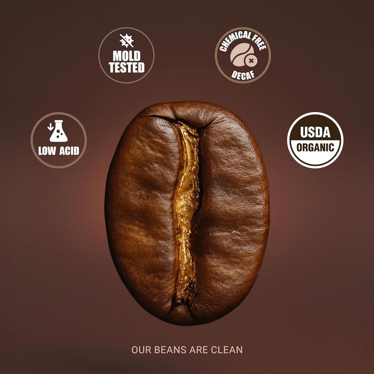 Macro of a clean Coffree coffee bean