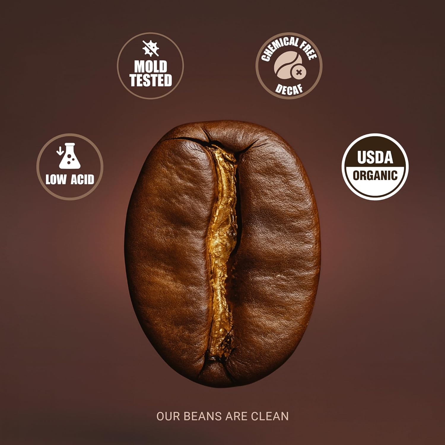 Beans